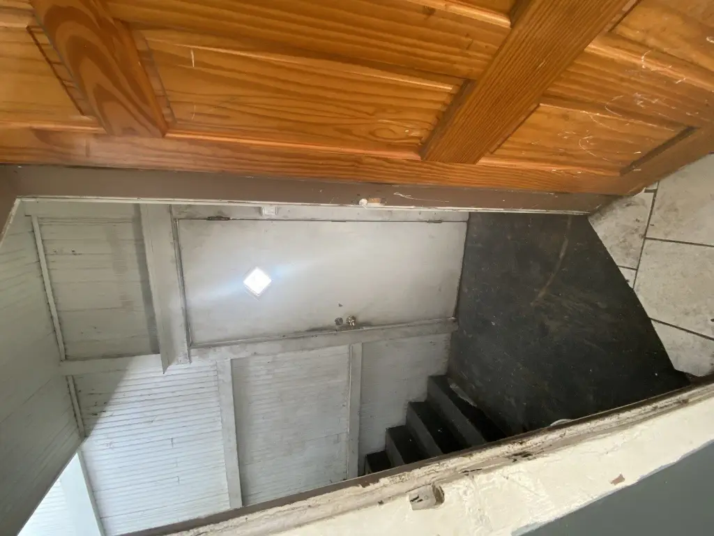 Picture 19