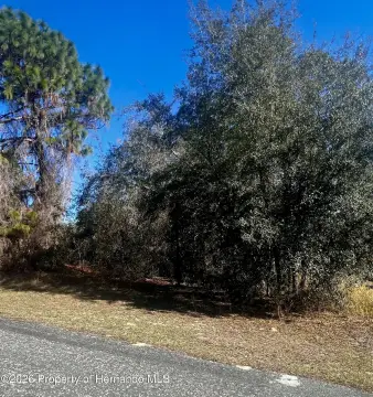 Residential Lot in Citrus Springs