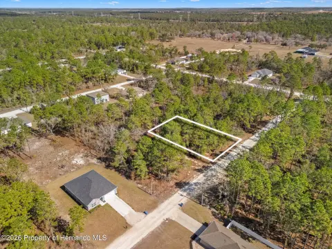 Weeki Wachee Vacant Land Parcel