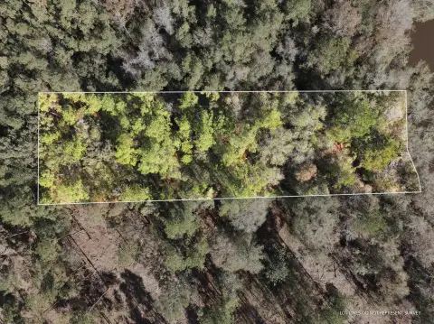 Leaf River Waterfront Acreage