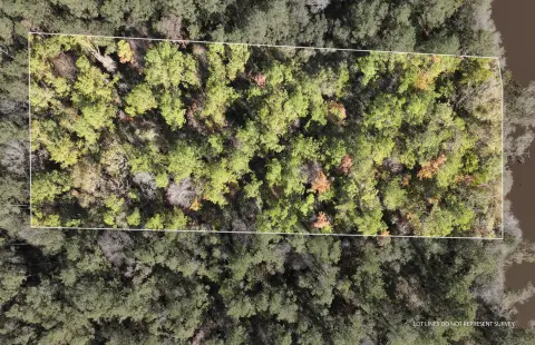 Leaf River Waterfront Acreage