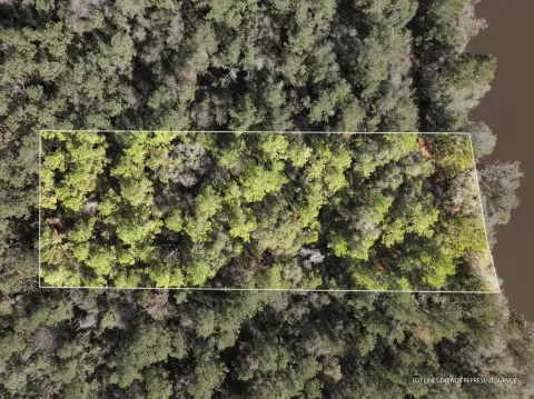 Leaf River Waterfront Acreage