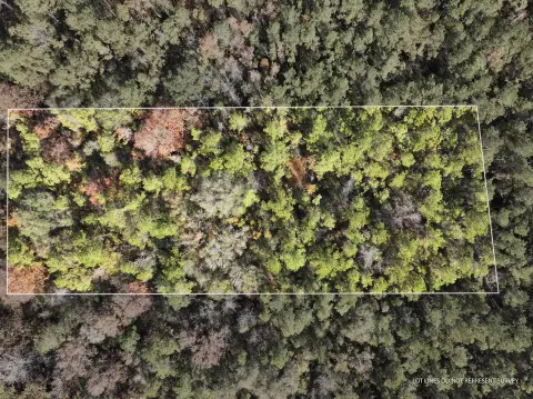 Land Near Leaf River