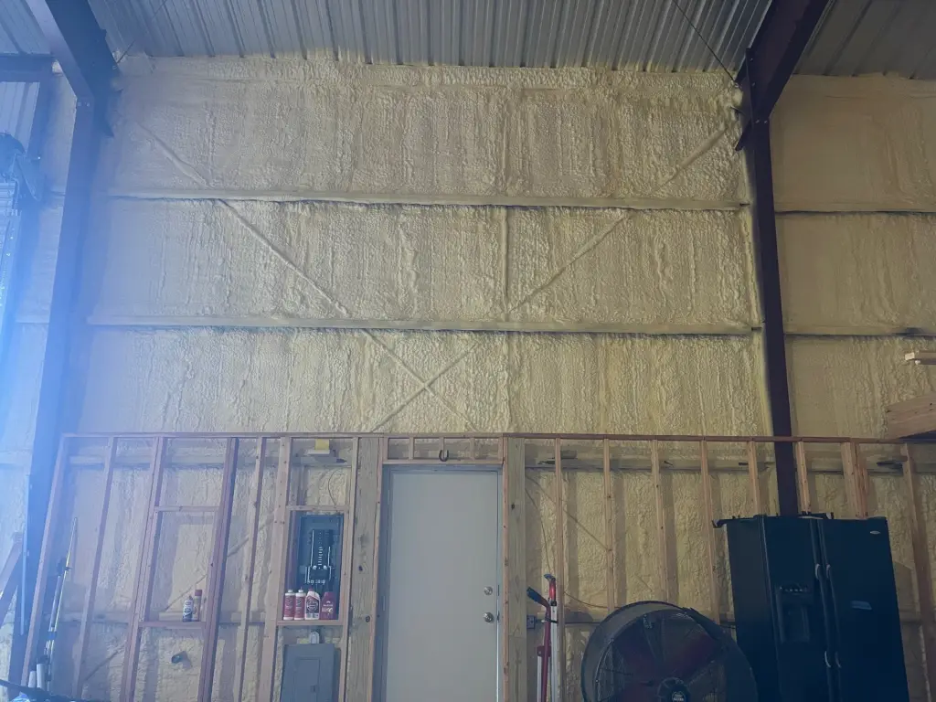 Picture 5
