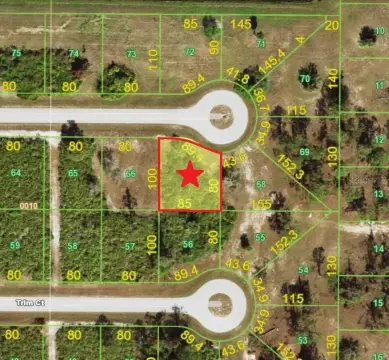 Residential Lot in Coastal Placida