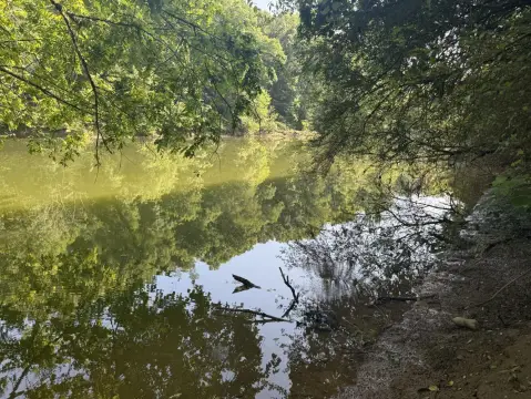 Waterfront Land in Sipsey, Alabama