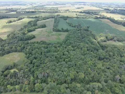 Versatile 90-Acre Farm