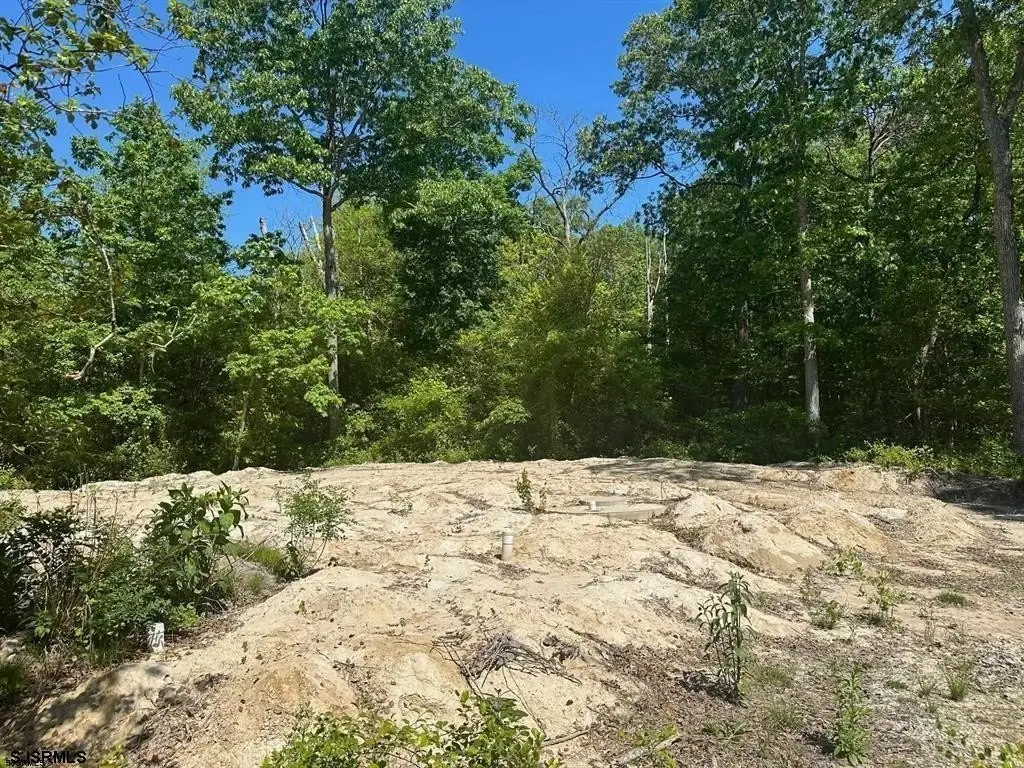 Picture 5