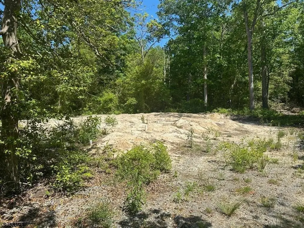 Picture 4