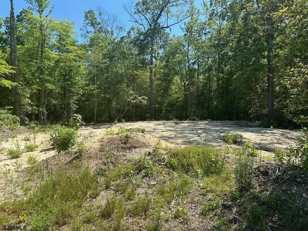 Picture 6