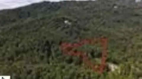 Land Parcel in Landrum, SC