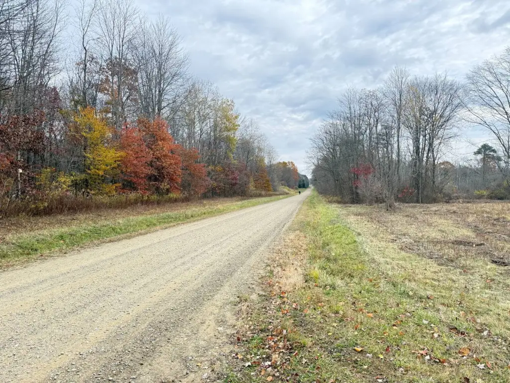 Picture 27