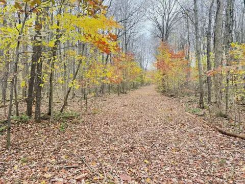 Hunting and Recreational Land Parcel