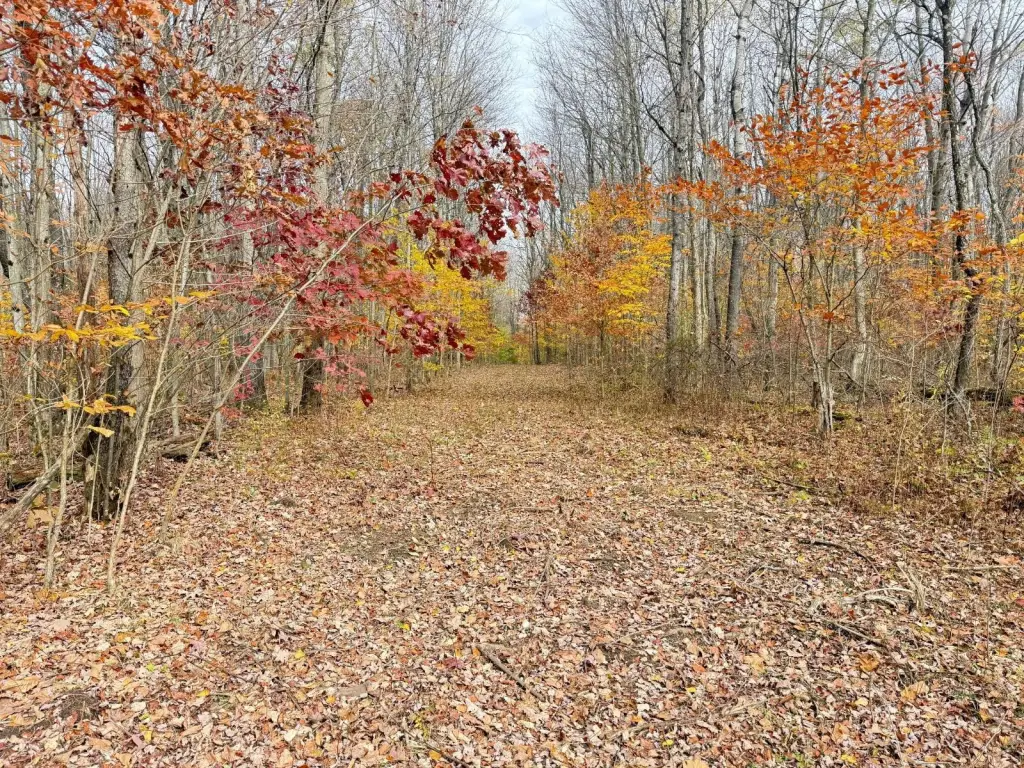 Picture 20