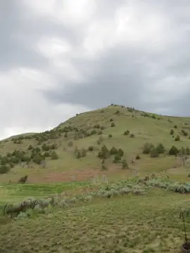 Arock, OR Farm/Estate with Airstrip