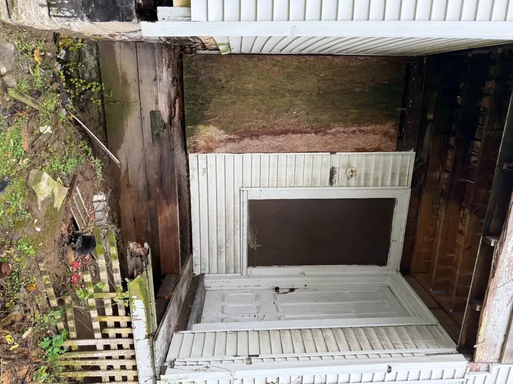 Picture 5