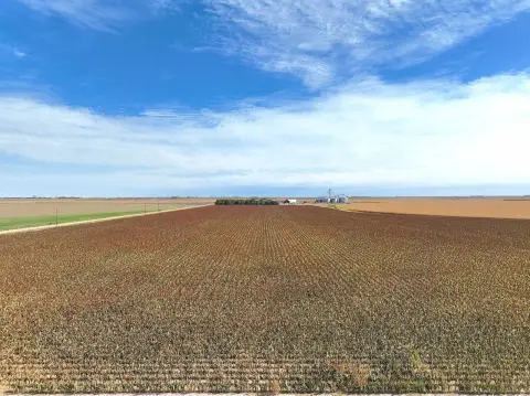 Irrigated Farmland with Operational Infrastructure