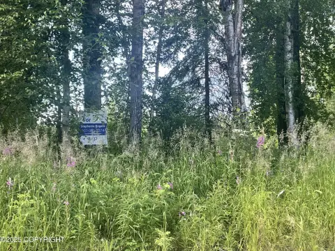 Recreational Land with Willow Creek Views