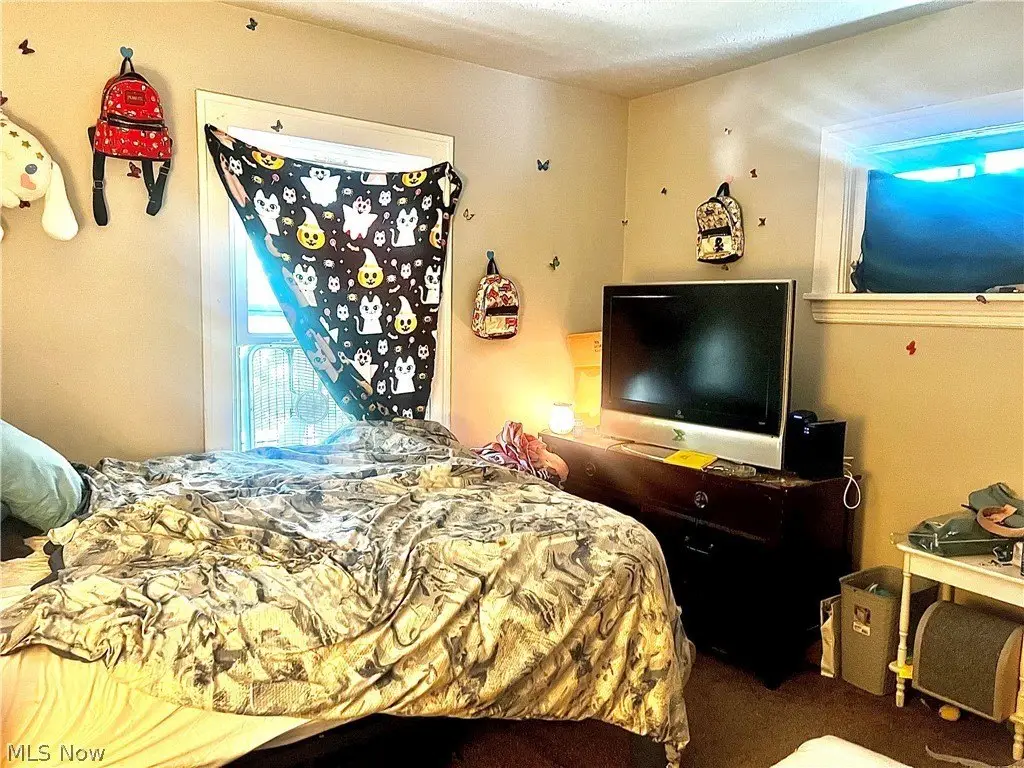 Picture 11