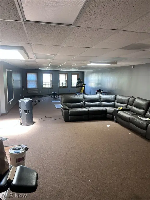 Picture 19