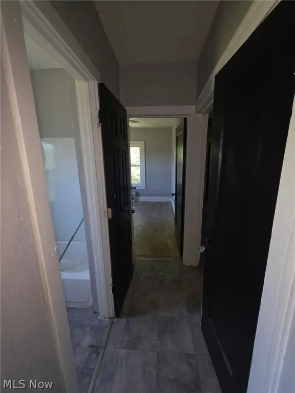 Picture 19