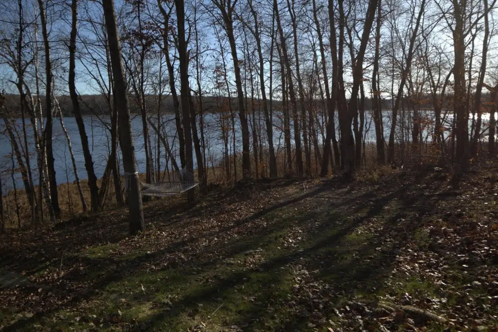 Picture 9