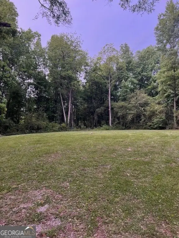 Picture 4