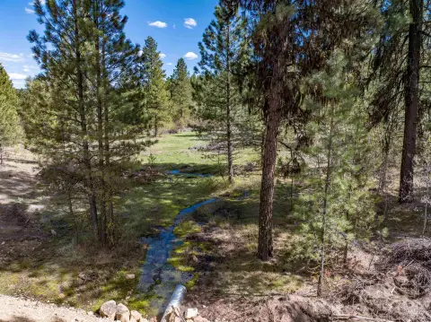 Placerville Land with Creek Frontage