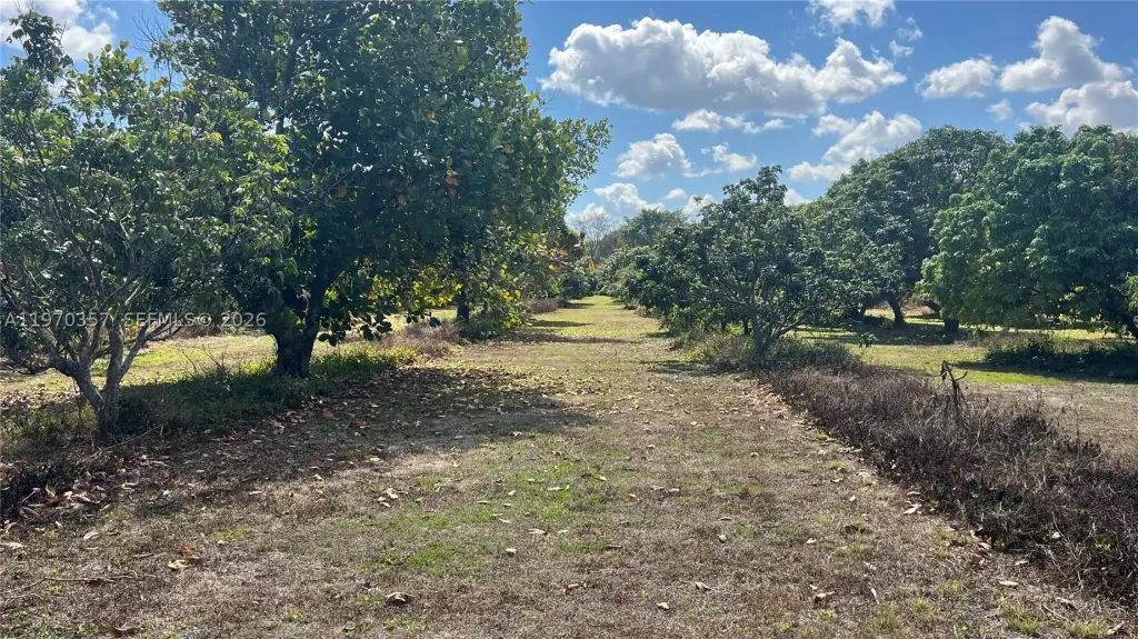 Picture 25