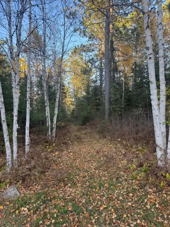 Picture 16