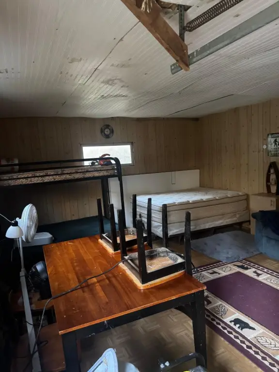 Picture 15