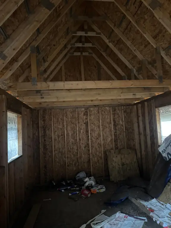 Picture 11