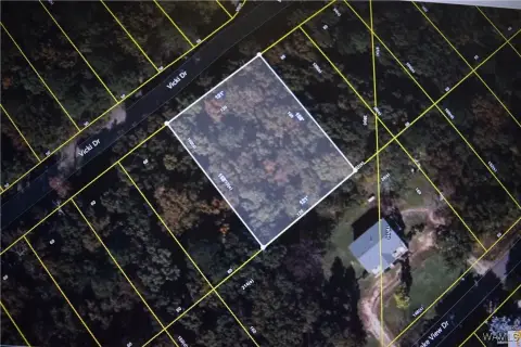 Residential Land in Lake View