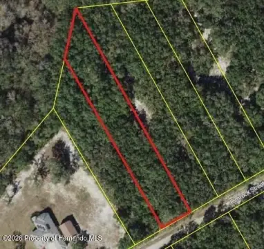 Spacious Land Parcel in Webster, FL