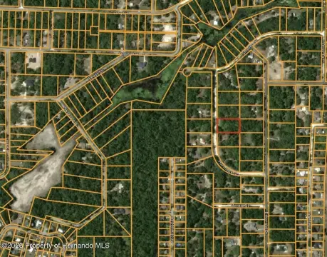 Dade City Land For Sale