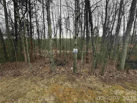 Residential Lot in Golf Community