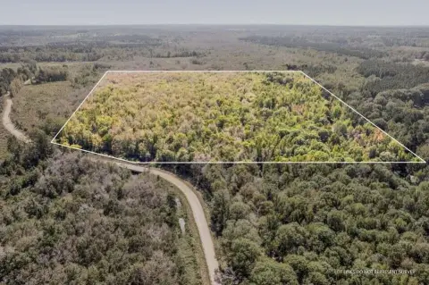 40 Acres Wooded Retreat