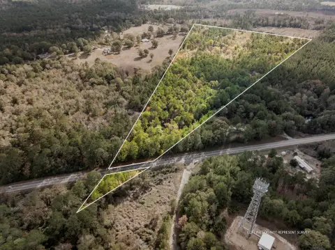 Undeveloped Land in Moselle, MS