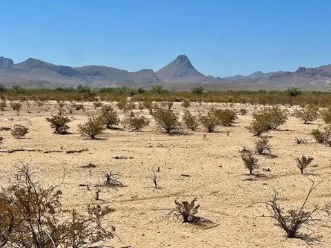5-Acre Off-Grid Land Tract