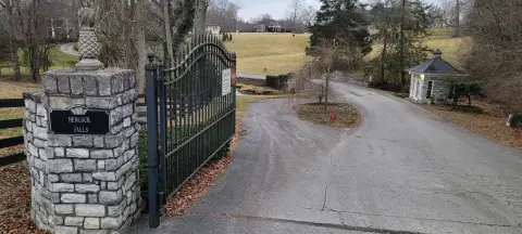 Buildable Lot in Hemlock Falls