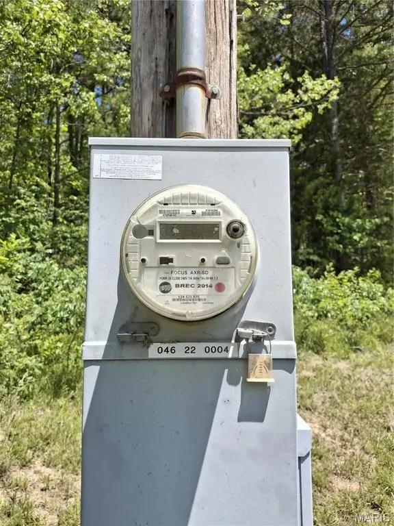 Picture 5