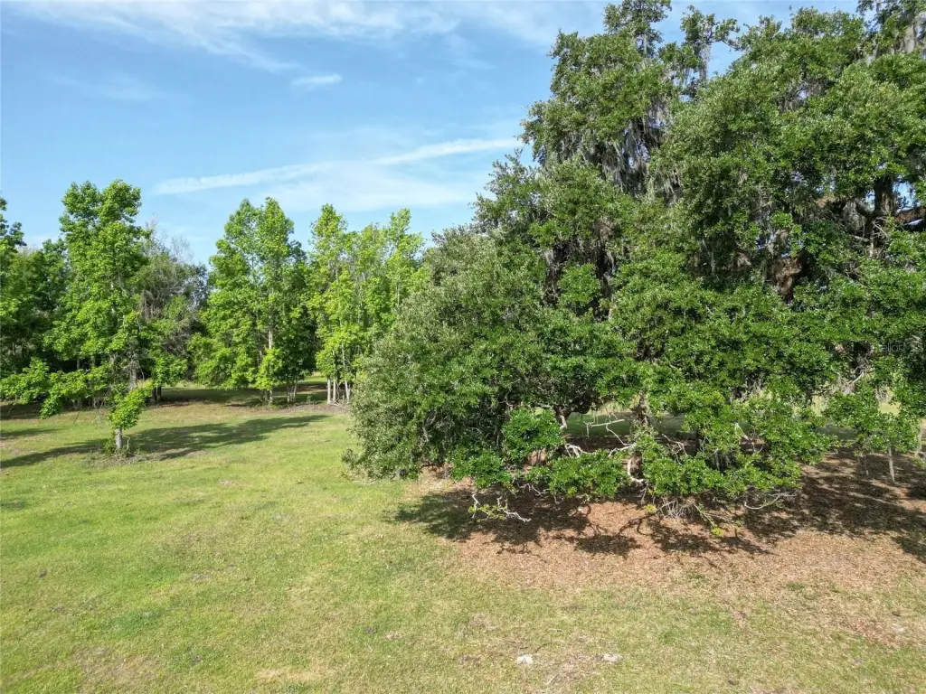 Picture 32