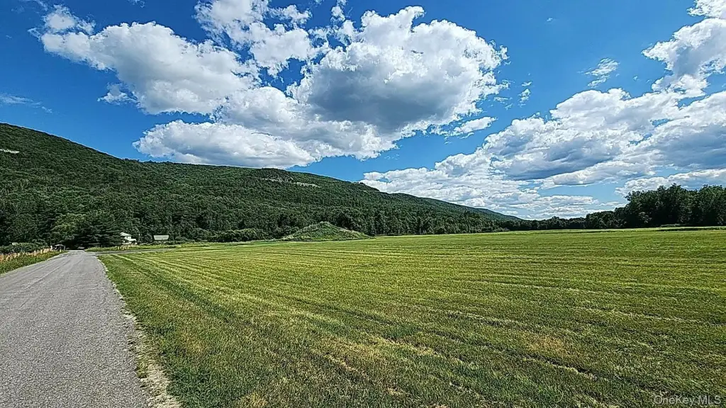Picture 16