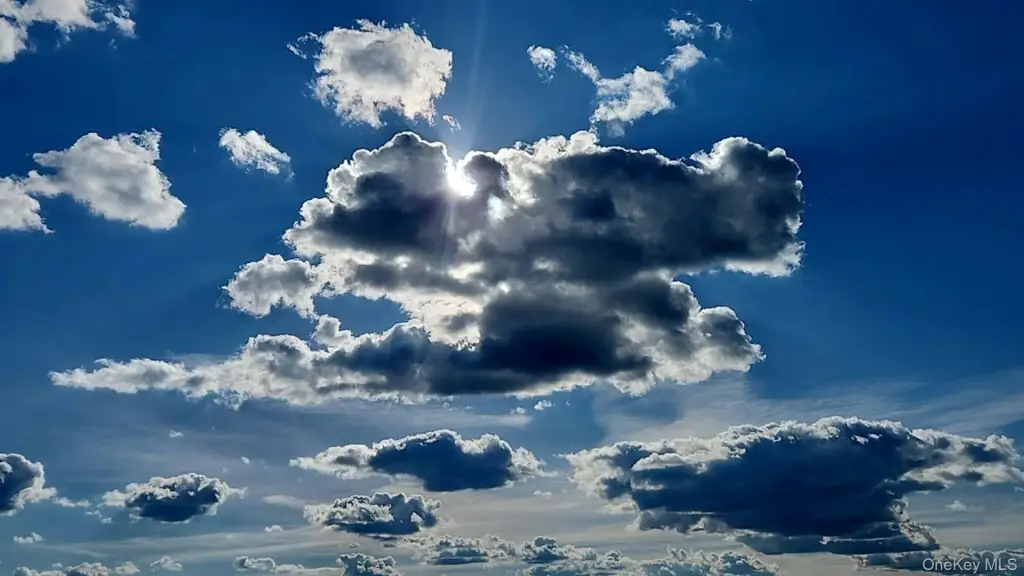 Picture 32