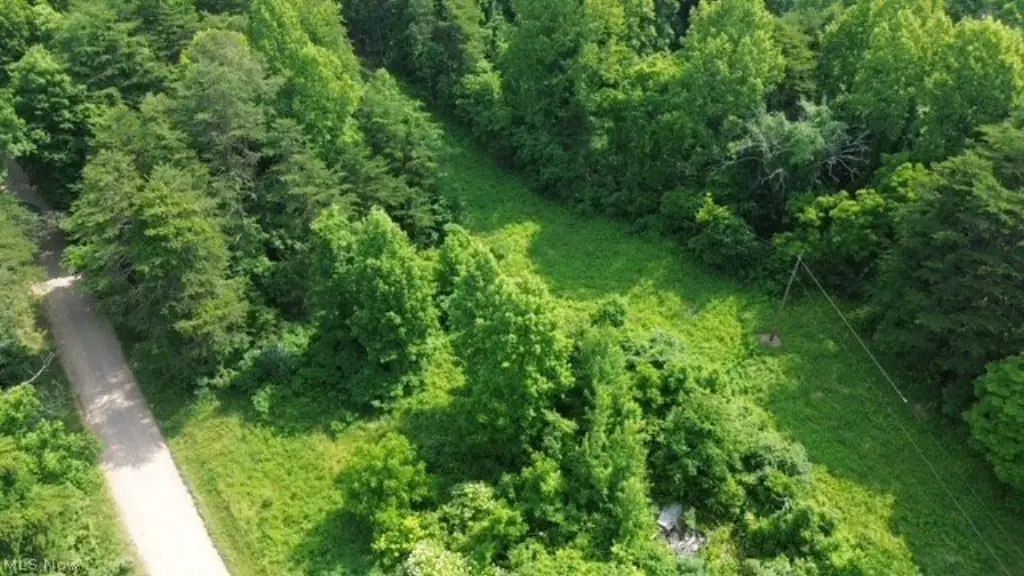 Picture 8