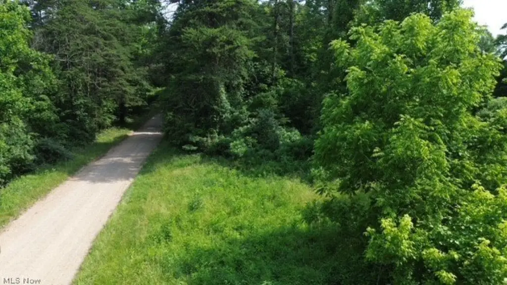 Picture 4