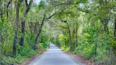 Newberry Land with Utilities Ready