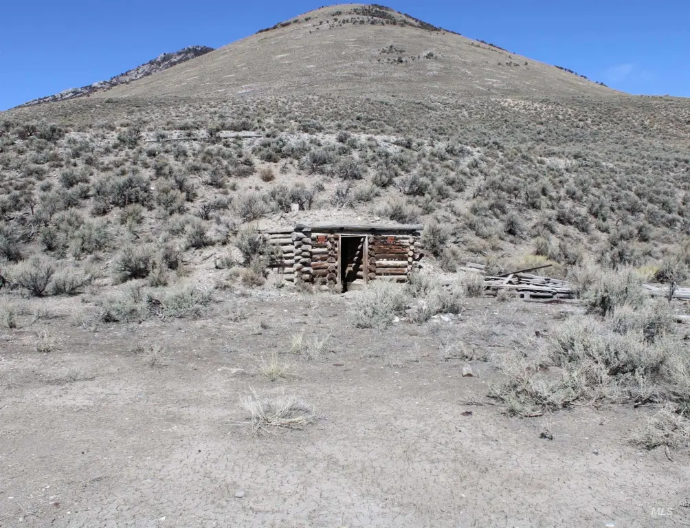 Picture 14