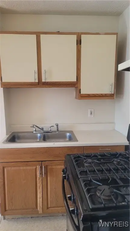 Picture 24