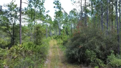 99-Acre Parcel in Eastpoint, FL